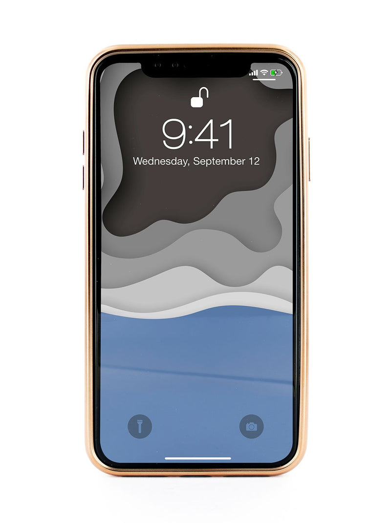 Back image of the Ted Baker Apple iPhone XS Max phone case in Black