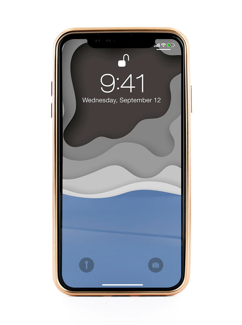Back image of the Ted Baker Apple iPhone XS Max phone case in Taupe