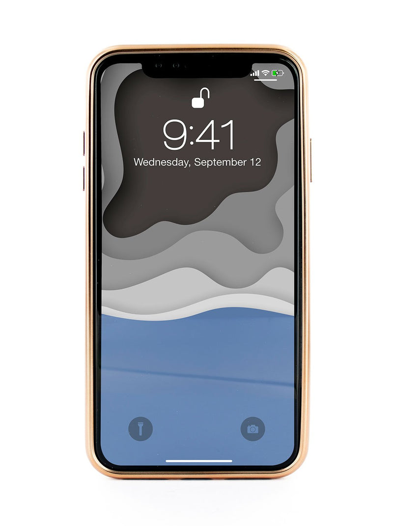 Front image of the Ted Baker Apple iPhone XS Max phone case in Pink