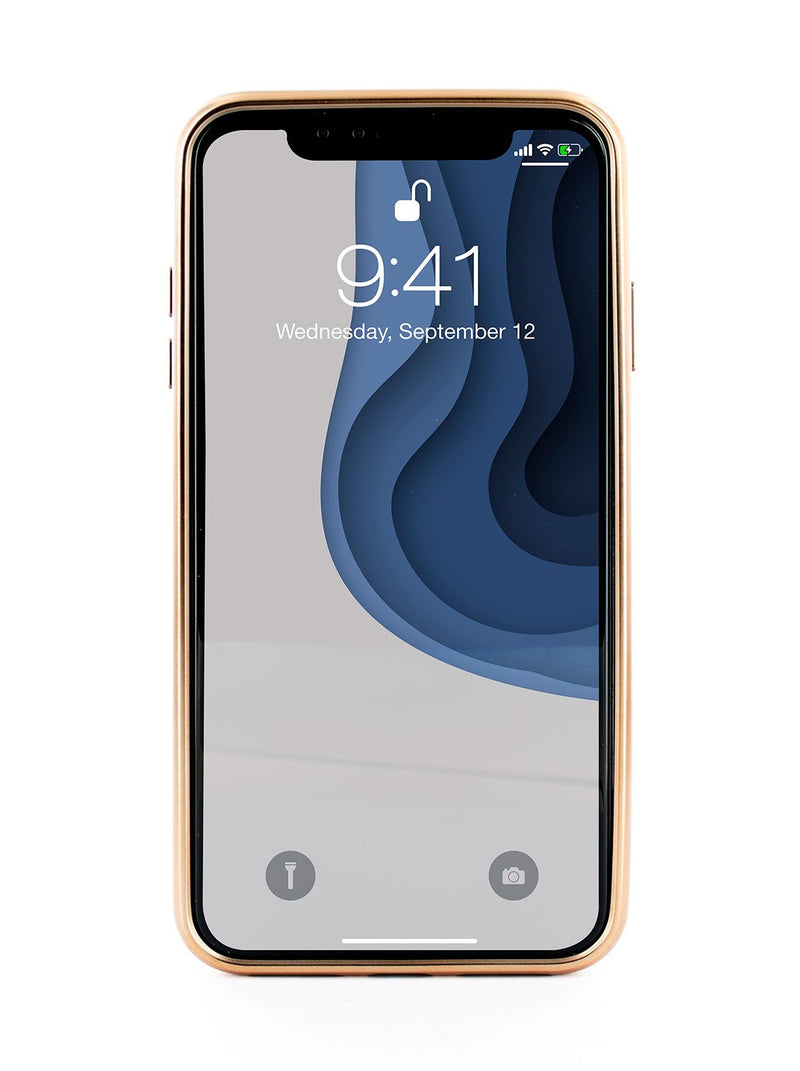 Front image of the Ted Baker Apple iPhone XR phone case in Pink